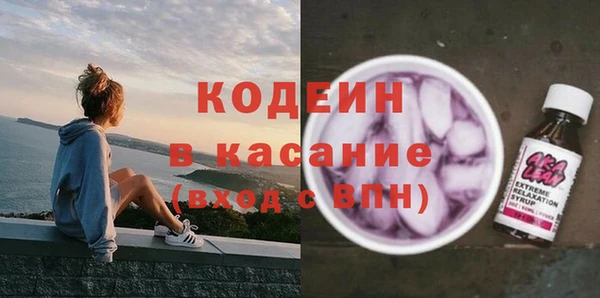 амф Сосновка