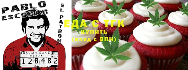 PSILOCYBIN Ельня