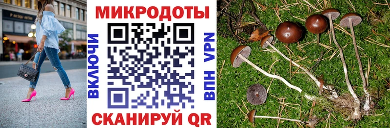 Галлюциногенные грибы Psilocybine cubensis  МЕГА ссылка  Судогда 